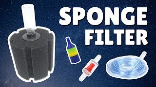 How to Install a Sponge Filter + 3 Bonus Tips