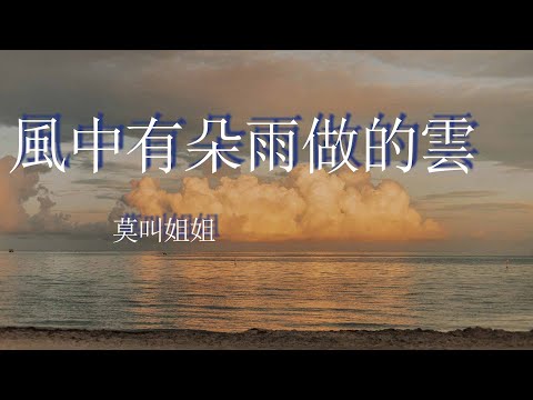 風中有朵雨做的雲-莫叫姐姐『漫天飄雨下沾濕愛恨，情在內心似假似真』【動態歌詞MV】