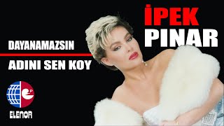 İpek Pınar - Kilim Resimi
