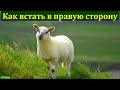 "Как встать в правую сторону". М. Фот. МСЦ ЕХБ