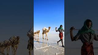 5 Posti in Etiopia che non sembrano REALI 🤯🌍 #travel