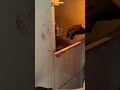 Dear friendshelloIamvery happy to share withyouthelatest workvideofromourcompany againIhopeyoulikeit