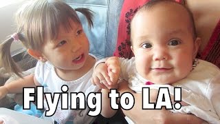 Babies on a Plane!!! - September 09, 2014 - itsjudyslife Daily Vlog