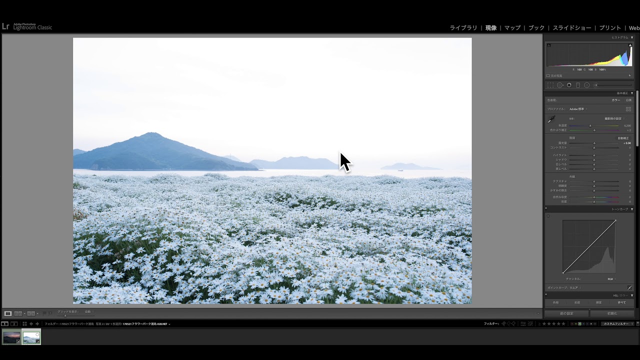 白飛びとは？写真が明るくなりすぎるときの原因と対処方！  ログカメラ