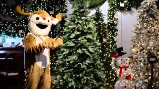 Changing Colors Tree!