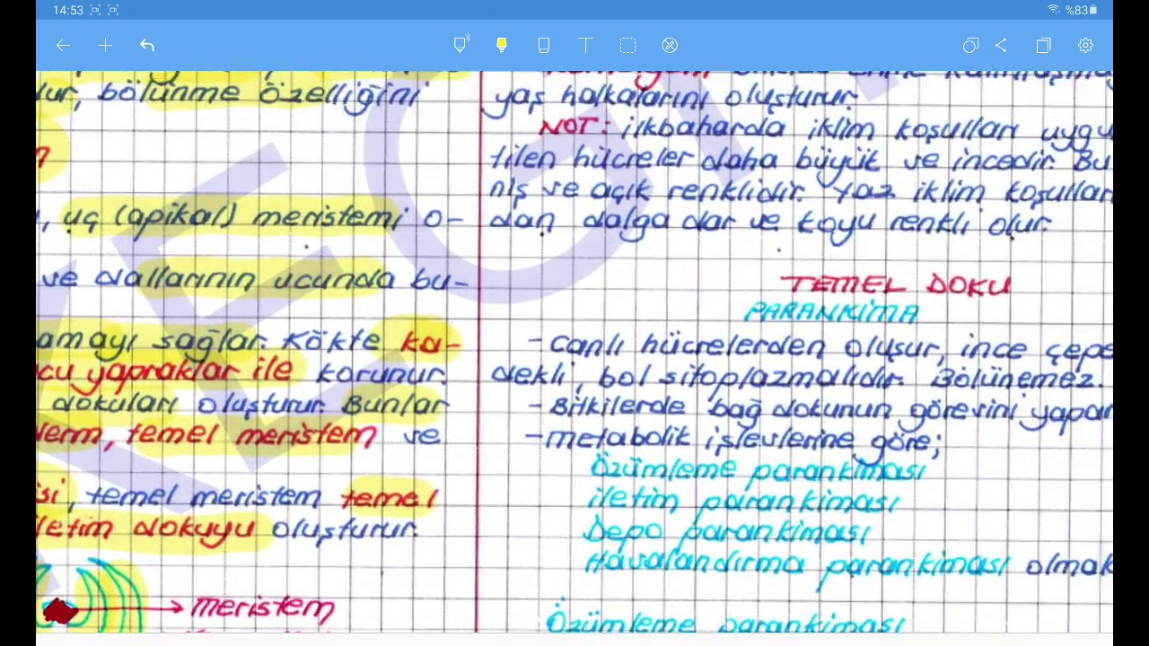 BİTKİ FİZYOLOJİSİ -1-
