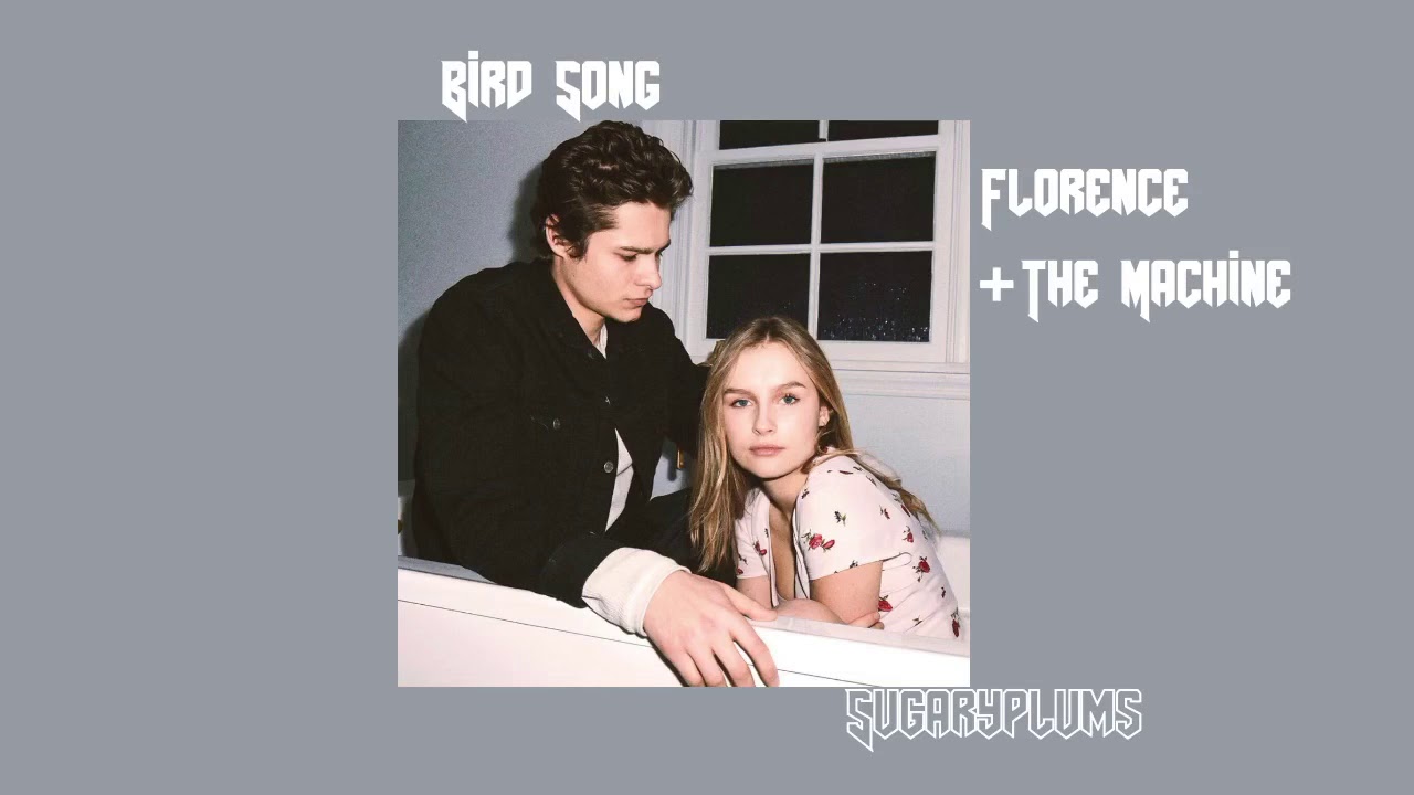 BIRD SONG florence+themachine (slowed down) YouTube