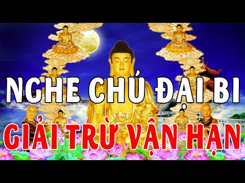 Video Trước Khi Ngủ Bật Kinh Chú Đại Bi 21 Biến Này 