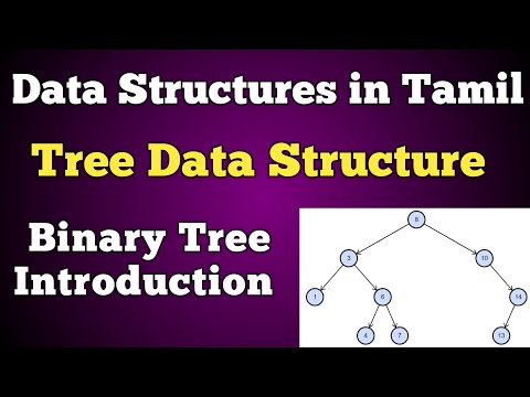 #16 Binary tree Data Structure in Tamil | Trees in java | Tree in tamil | conquer victory