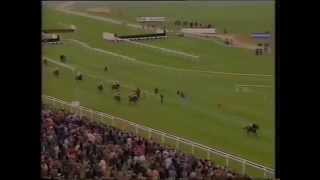 1993 Trafalgar House Supreme Novices' Hurdle - Montelado