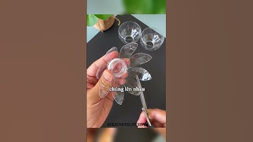 Cách làm lồng đèn Trung Thu hoa sen bằng chai nhựa phế liệu #shorts