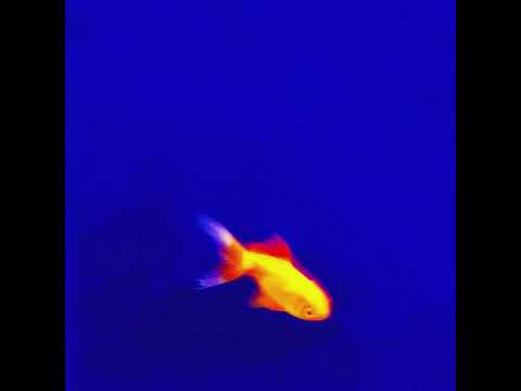 Harry Nach, Soto Asa - JET (Flints) bekijken op YouTube Harry Nach, Soto Asa - JET (Flints) bekijken op YouTube