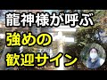 【神社】龍神が呼ぶ強めの歓迎サイン 栃木県 間々田 野木町 龍神社 竜 竜神