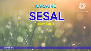 ALBUM KENANGAN ERMY KULIT SESAL KARAOKE