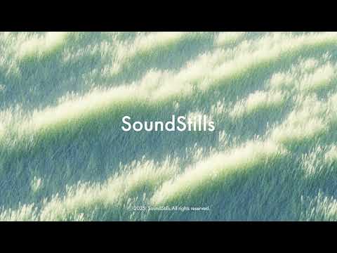 The Song Of Windvalley L A Journey Inward