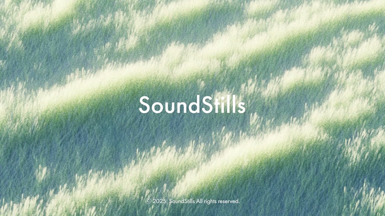 [playlist] 바람계곡의 노래 l 꿈결 플레이리스트