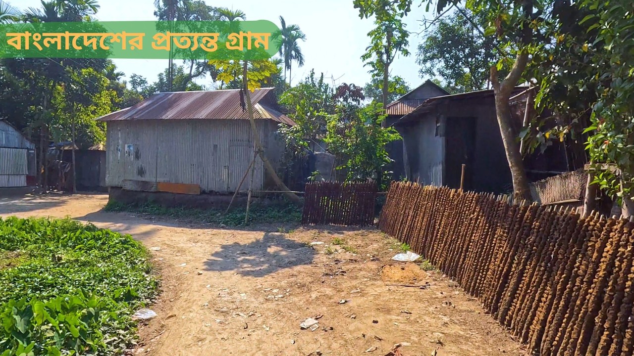 বাংলাদেশের প্রত্যন্ত গ্রাম | Remote Village Life in Bangladesh | Rural Beauty
