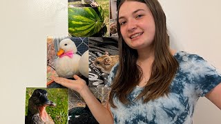 Ranking My Pet Ducks Duck Pyramid Week 10