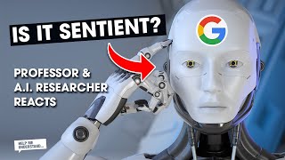 Googles Sentient Ai Artificial Intelligence Expert Reacts