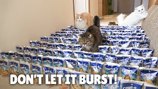 Juice Carpet Challenge! Don’t Let It Burst! | Kittisaurus