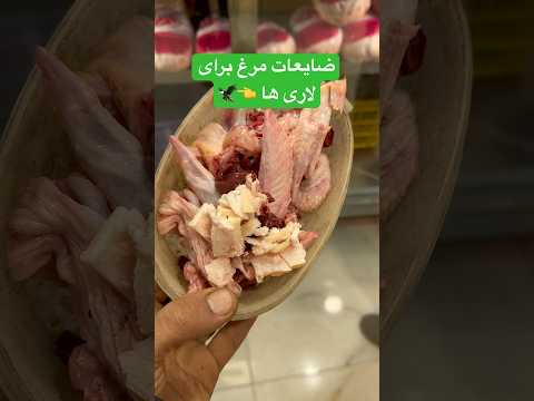 بقايا لحوم للشاحنات شورت حمام عالي الطيران كبوتار ديك