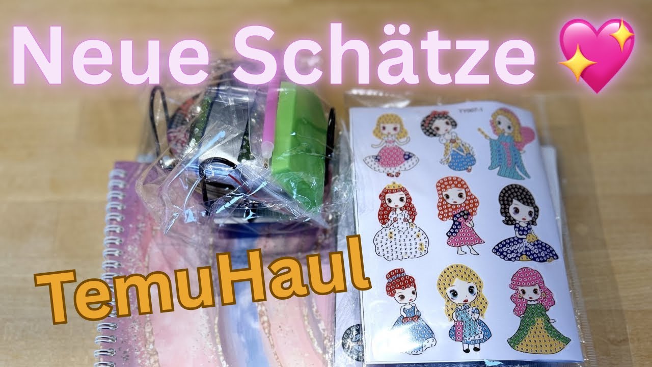 Temu Haul 😍 Neues Diamond Painting Zubehör