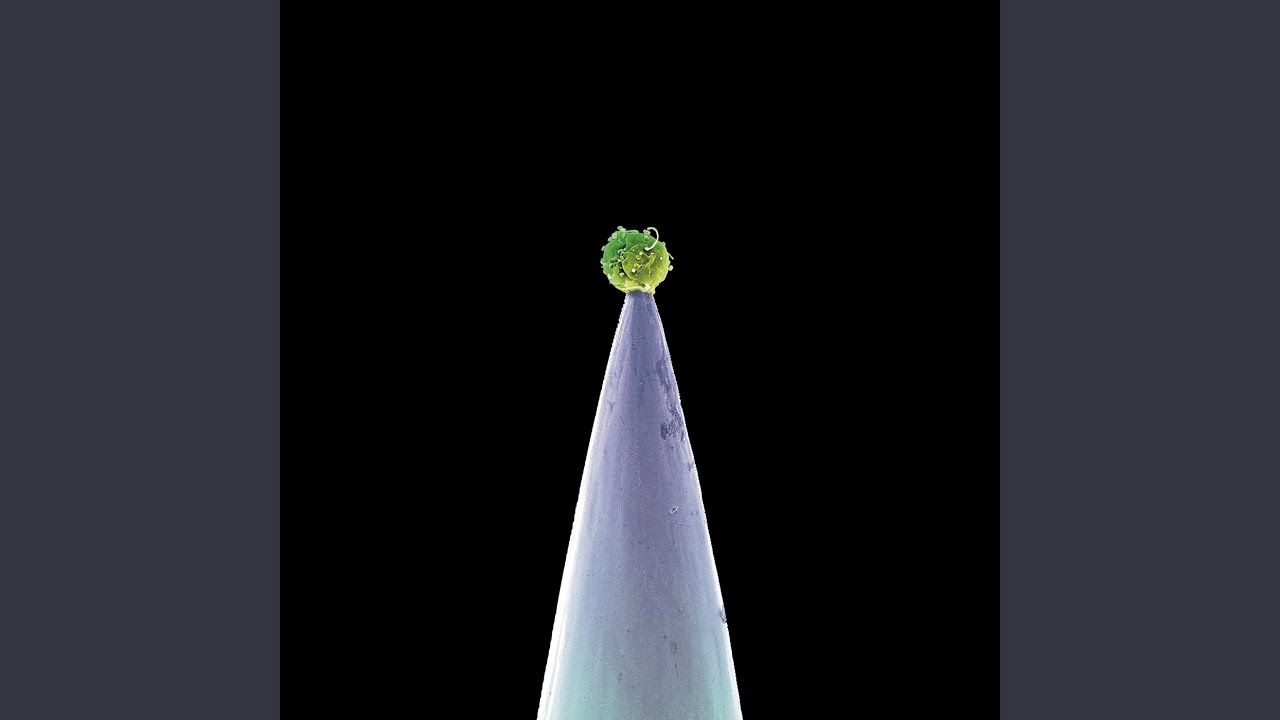 San Jacinto (New Blood Version)