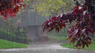 Дождь - гром - гроза расслабляющие звуки природы - усыпляющие звуки летнего дождя