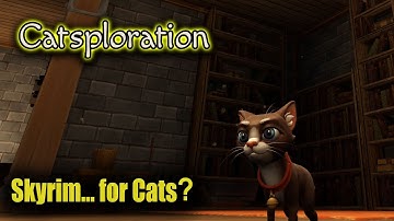 We Try a New CAT game, Catsploration