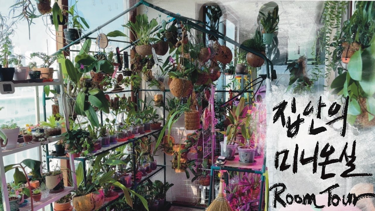 [RoomTour]식물 이름 몰라도 돼요. 그냥 봐주세요🙋🏻‍♀️ / 깨진 화분 버리지 말고 이렇게 써보세요! / 베란다에 미니 온실 봤어요??