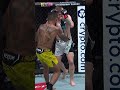 These leg kicks were nasty  ufc301