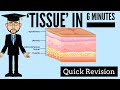 Tissue in 6 minutes quick revision