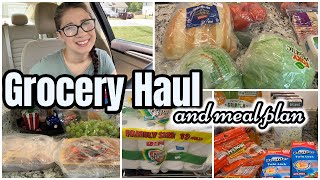 Weekly ALDI Grocery Haul & Meal Plan | We didnt need much! | Lidl & Walmart Haul