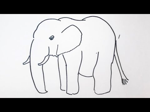 簡単 ぞうの描き方 イラスト お絵描き Easy How To Draw Elephants Illustration Drawing Youtube