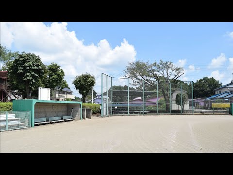 愛がひとりぼっち　岩崎　良美
