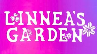 Linnea's Garden - live at - O'Briens  - 06.25.26
