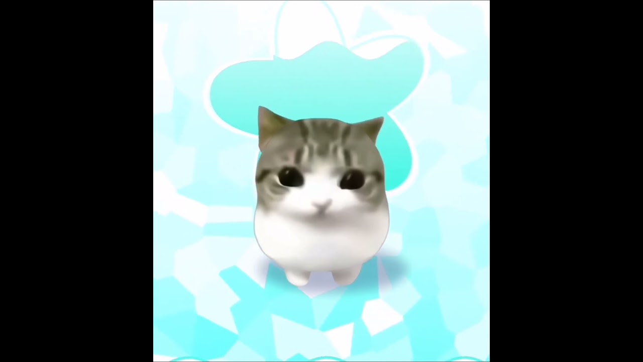 cat - YouTube