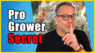 Don't Buy More Cannabis Nutrients Until You Know About THIS