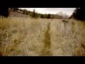 Blitzen river trail eastern oregon