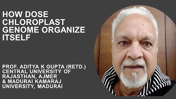 How Dose Chloroplast  Genome Organize Itself