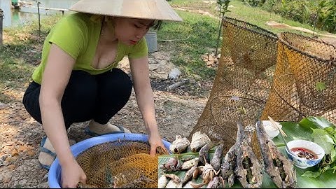 Trưa nắng ra đồng nướng cá ngồi trên chòi lá ăn cơm thật mát mẻ #thanhgiangvlog