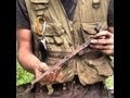 Civil War BAYONET and BUTTONS found inside of an old barn! | Nugget Noggin