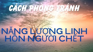 Cách phòng tránh và ngăn chặn năng lượng linh hồn tiêu cực P.5