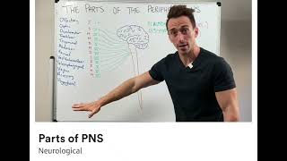 Parts of PNS