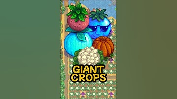 How many giant crops can you get in Stardew Valley?  #stardewvalley