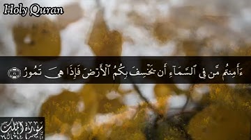 67 سورة الملك بصوت الشيخ | سعد الغامدي