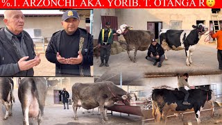 : %.1. ARZONCHI. AKA.YANGI. PARTIYA.NARXLADA.ONA BOLA...sigirlar K