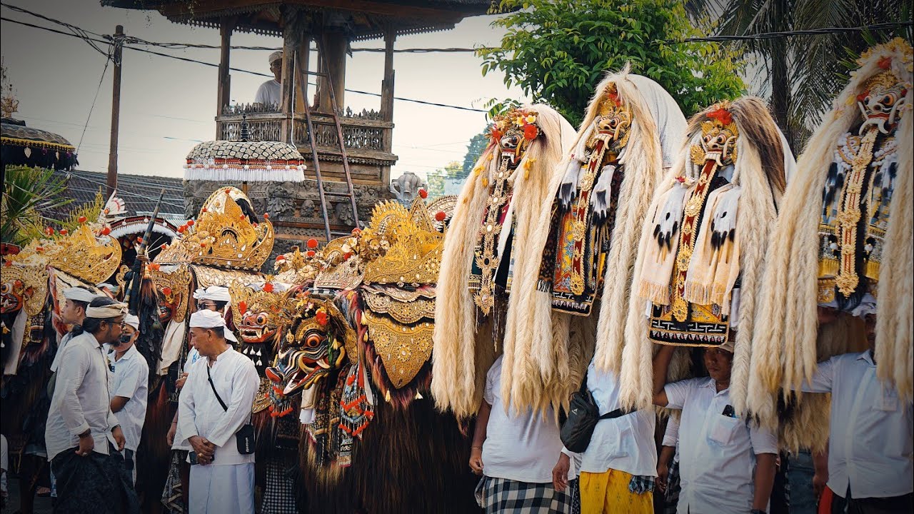 Mecepuk Pujawali Ring Pura Dalem Kutuh Gulingan, Pelawatan Barong Mebulu Goak
