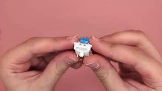 Details Pixeleena LED Clicker Button Battery Assembly Guide
