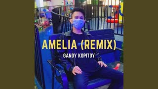 Amelia (Remix)